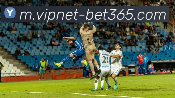 App Interface Preview